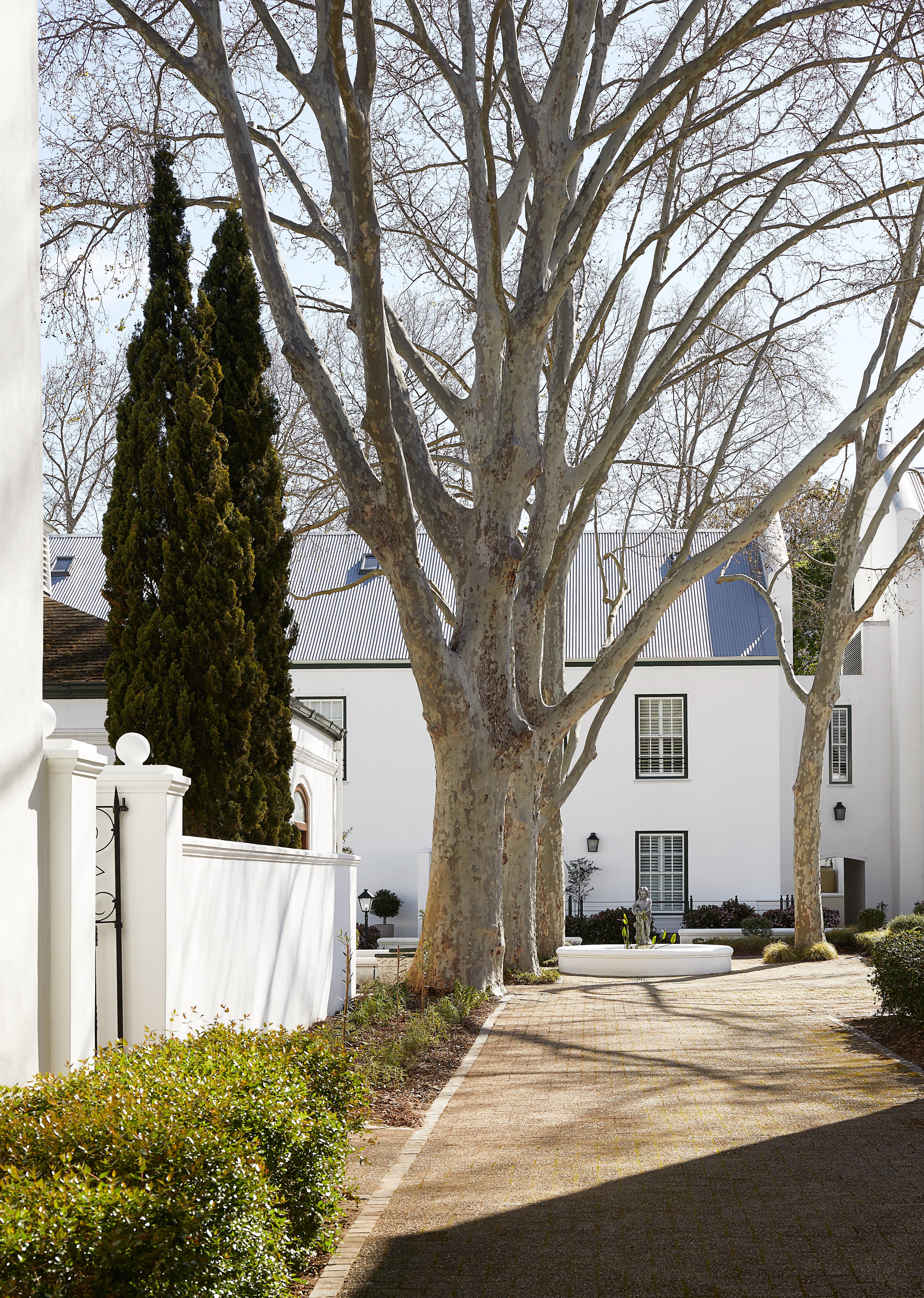 The Alphen Boutique Hotel & Spa ケープタウン エクステリア 写真